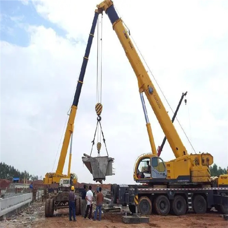 盐源小型吊机出租电话|厂房设备吊装方案|24小时服务覆盖